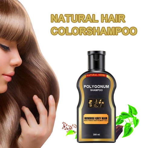 Polygonum multiflorum black hair shampoo - ROUTINE FASHION
