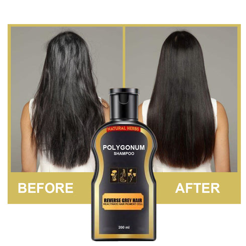 Polygonum multiflorum black hair shampoo - ROUTINE FASHION