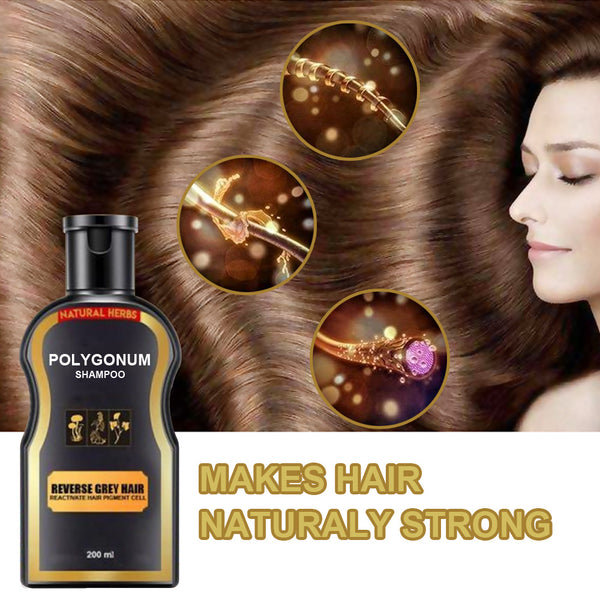 Polygonum multiflorum black hair shampoo - ROUTINE FASHION