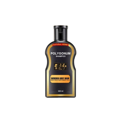 Polygonum multiflorum black hair shampoo - ROUTINE FASHION