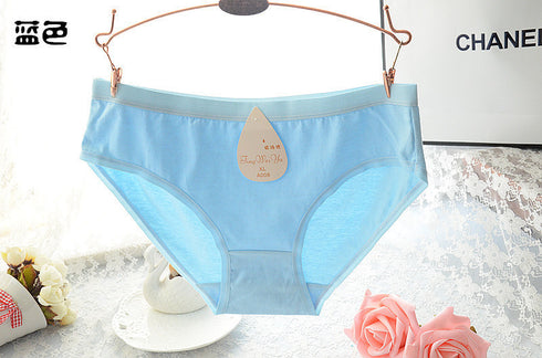 Women's cotton briefs - ROUTINE FASHION