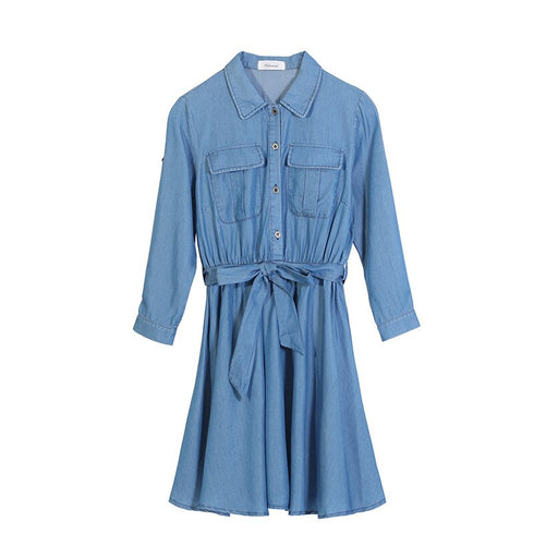 Tencel Denim Simple Plus Size Women's Long Sleeve Dress Denim Plus Size Skirt - ROUTINE FASHION