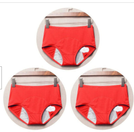 Period Leak Proof Panties Women Underwear Pants Nylon Briefs - ROUTINE FASHION