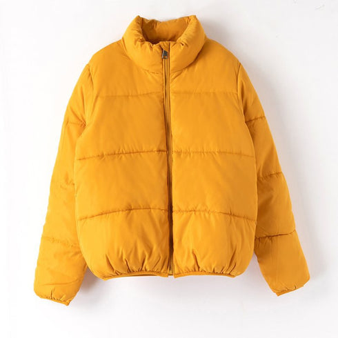 Winter cotton padded jacket short coat - ROUTINE FASHION