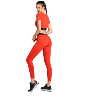 Gym running tights - ROUTINE FASHION