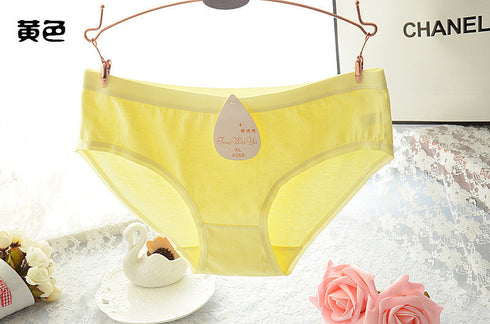 Women's cotton briefs - ROUTINE FASHION