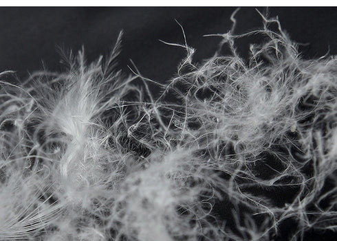 Down Waistcoat Women's Short Waist Collar Jacket - ROUTINE FASHION